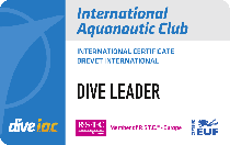 Dive-Leader